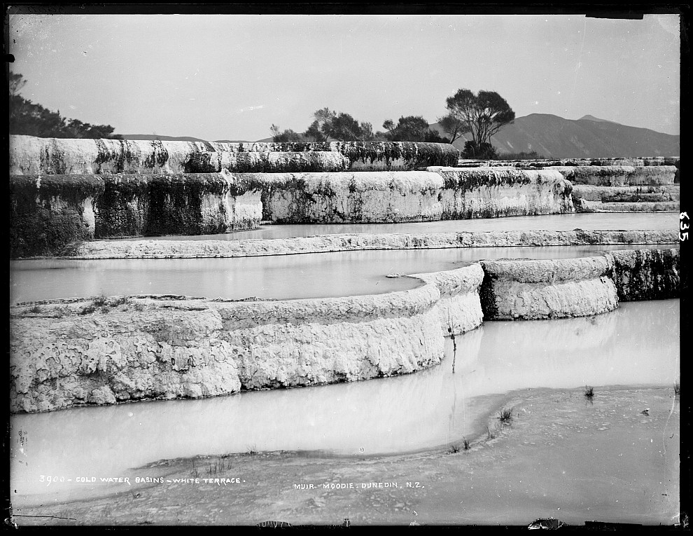 Cold Water Basin - White Terrace